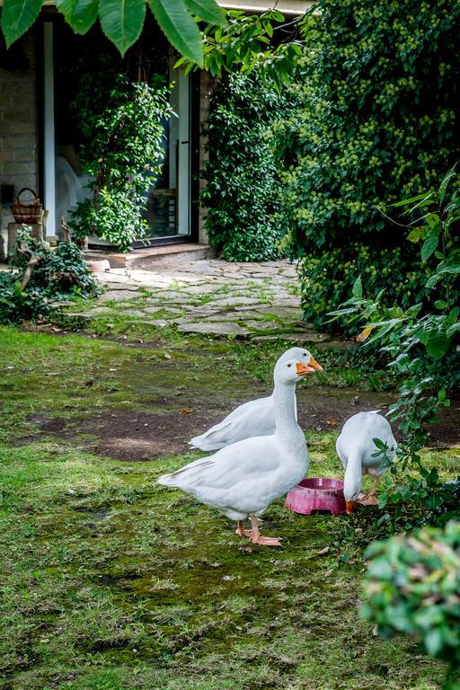 Willa La Casa Degli Elfi Manziana Zewnętrze zdjęcie